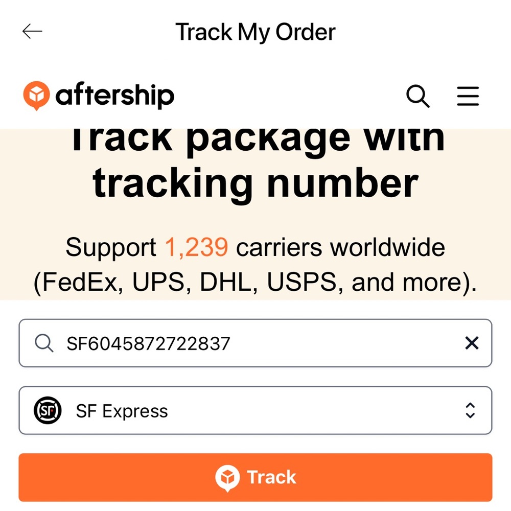 Big into Energy Secret ID Labubu - Picture 7 of 8